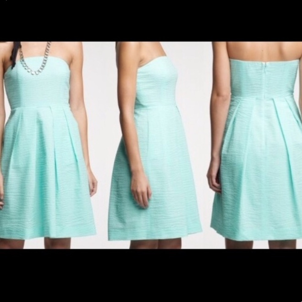 JCrew Lorelei Dress